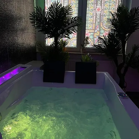 Historic Vintage With Jacuzzi & Sauna